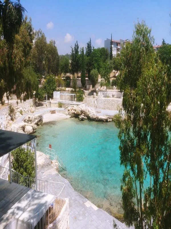 erdemli hurdacı