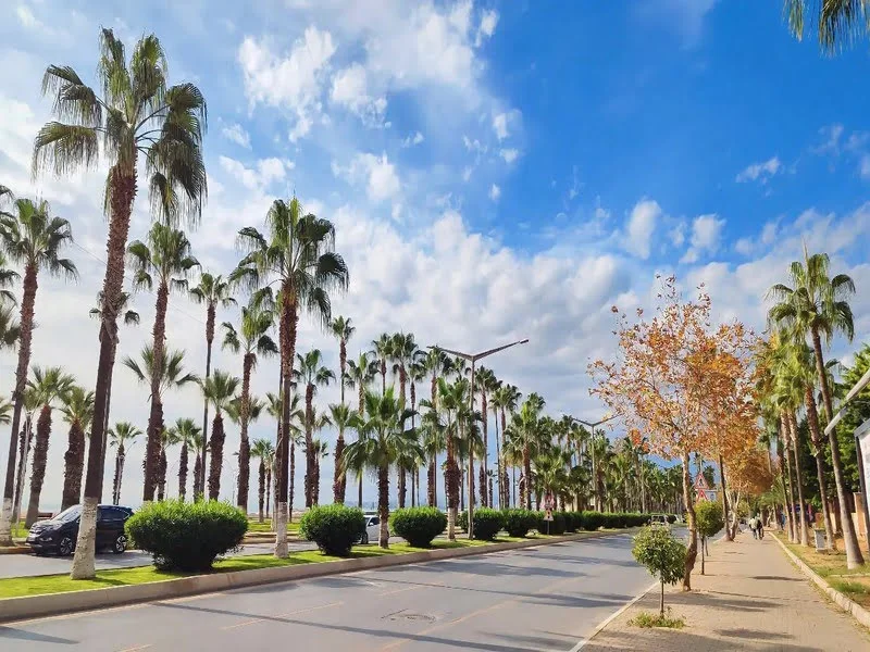 yenişehir hurdacı